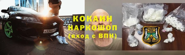 индика Зеленокумск