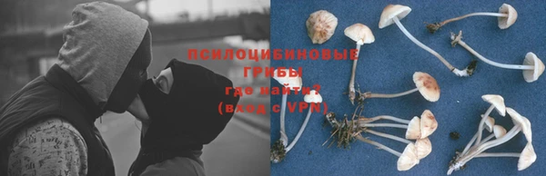 дурь Вяземский