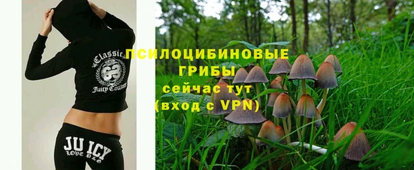 ешки Вязьма
