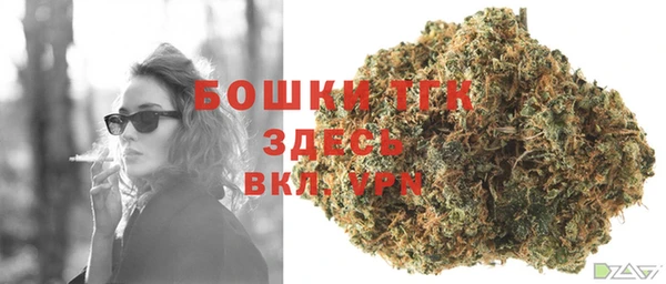 дурь Вяземский