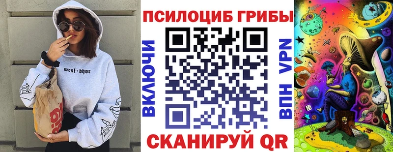 закладка  Печоры  Псилоцибиновые грибы Magic Shrooms 